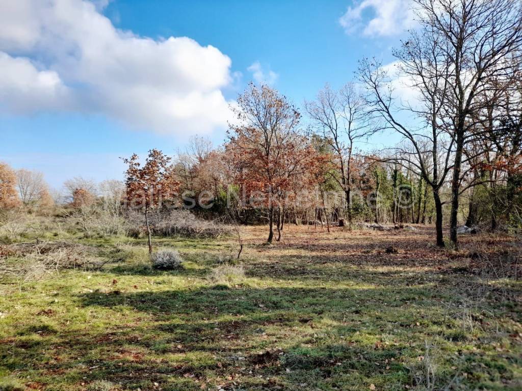 Poljoprivredno zemljište, Prodaja, Marčana, Marčana