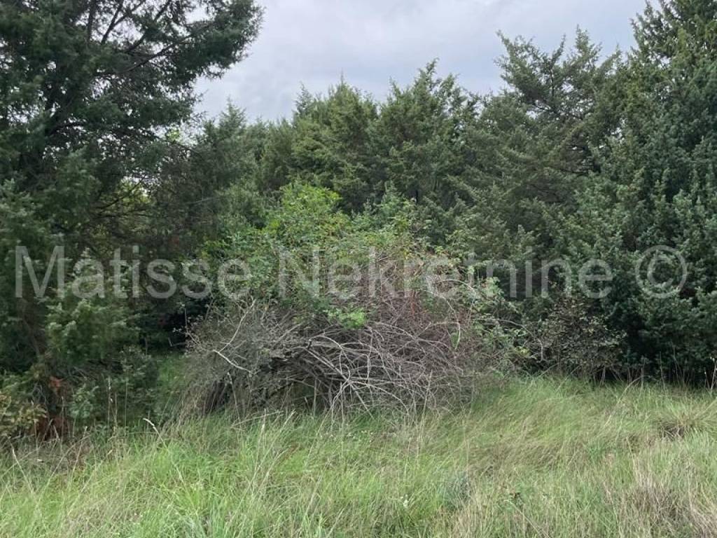 Poljoprivredno zemljište, Prodaja, Marčana, Marčana