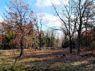 Poljoprivredno zemljište, Prodaja, Marčana, Marčana