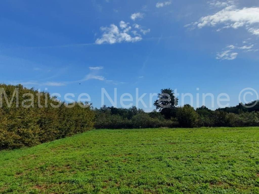 Poljoprivredno zemljište, Prodaja, Marčana, Marčana