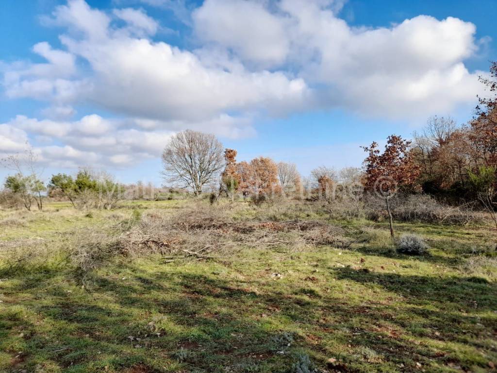 Poljoprivredno zemljište, Prodaja, Marčana, Marčana