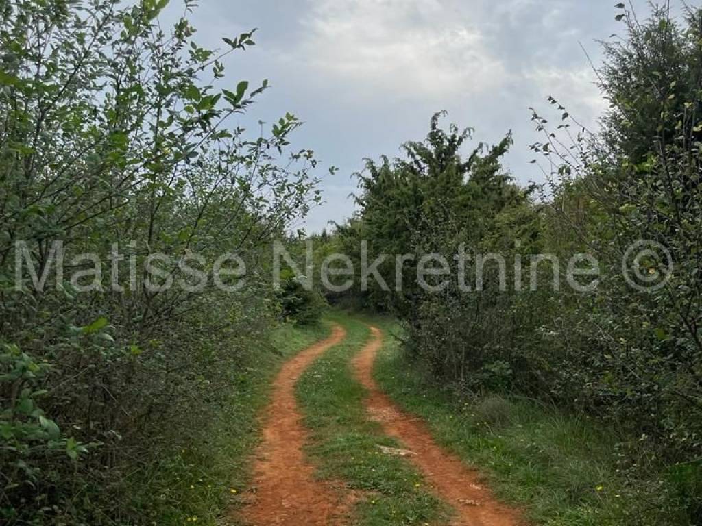 Poljoprivredno zemljište, Prodaja, Marčana, Marčana