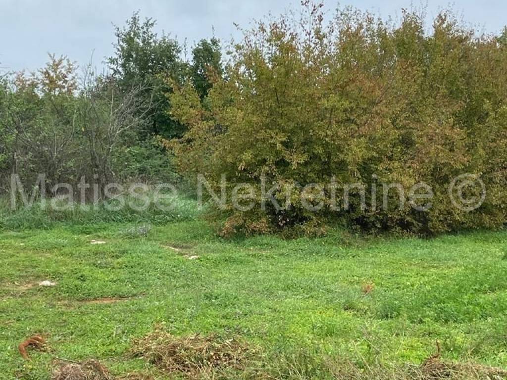 Poljoprivredno zemljište, Prodaja, Marčana, Marčana