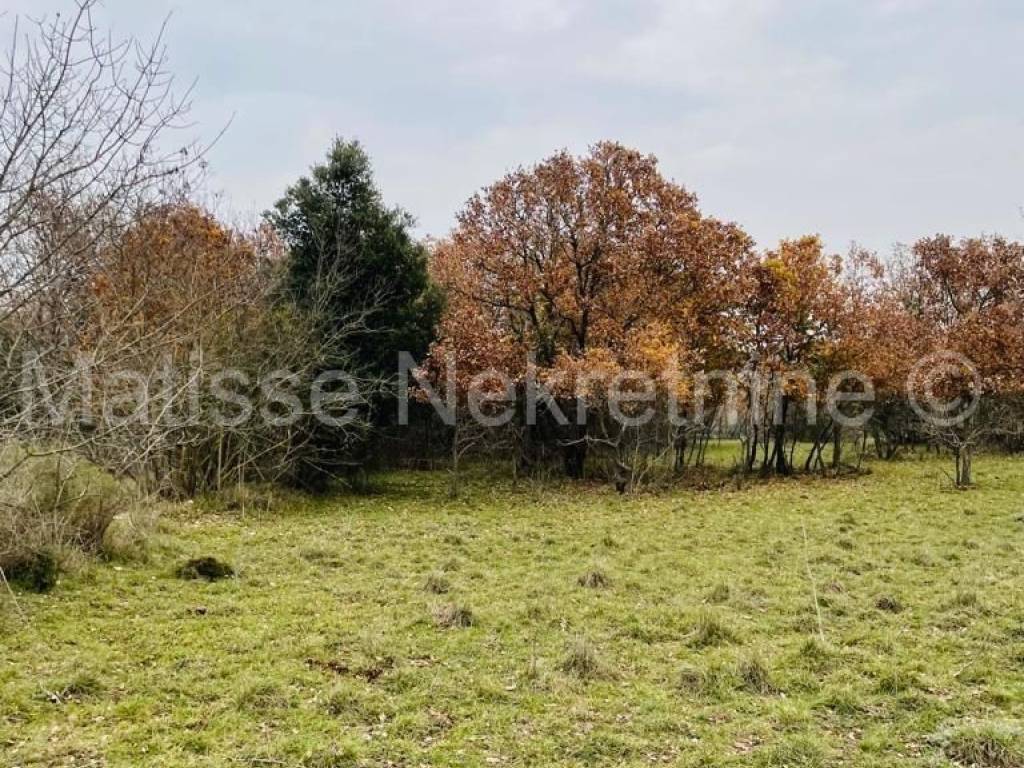 Poljoprivredno zemljište, Prodaja, Marčana, Marčana