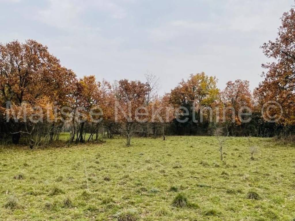 Poljoprivredno zemljište, Prodaja, Marčana, Marčana