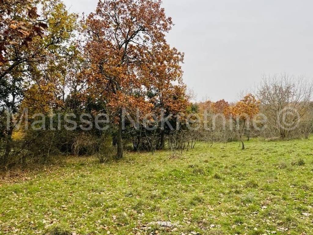 Poljoprivredno zemljište, Prodaja, Marčana, Marčana