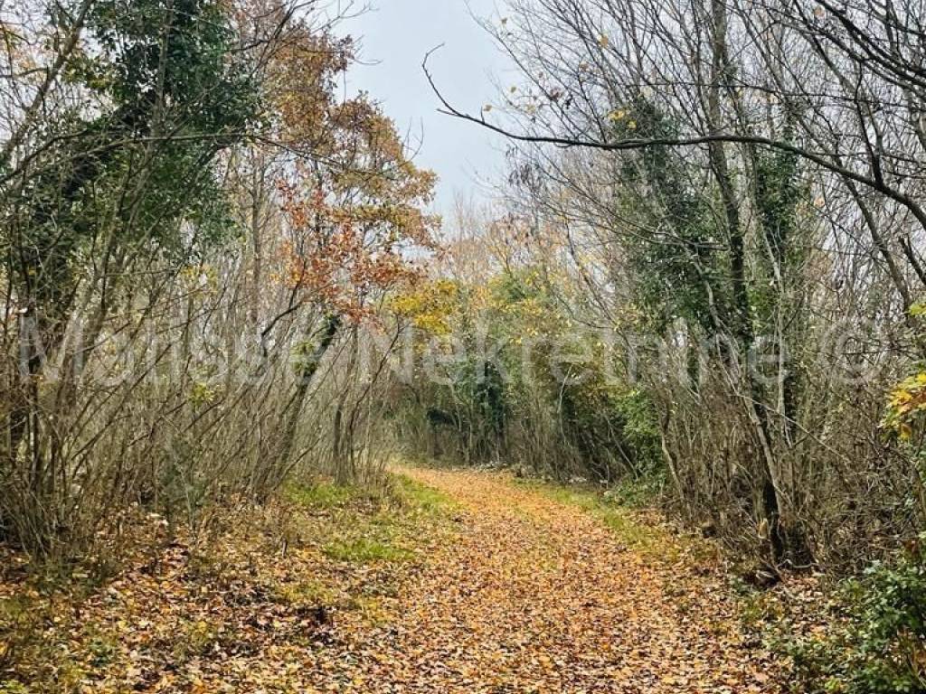 Poljoprivredno zemljište, Prodaja, Marčana, Marčana