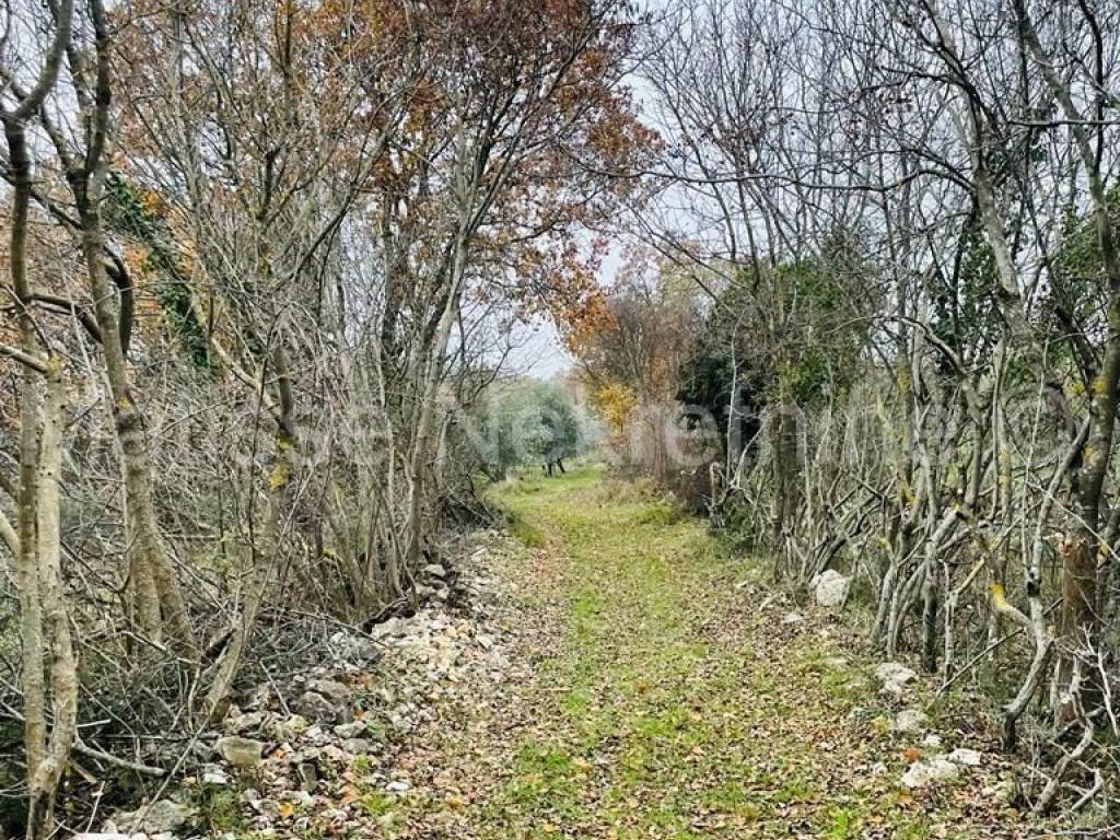 Poljoprivredno zemljište, Prodaja, Marčana, Marčana