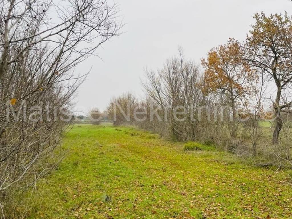 Poljoprivredno zemljište, Prodaja, Marčana, Marčana