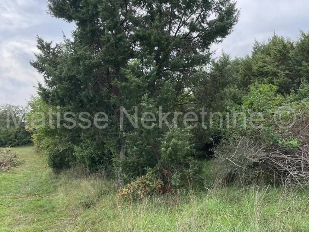 Poljoprivredno zemljište, Prodaja, Marčana, Marčana