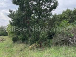 Poljoprivredno zemljište, Prodaja, Marčana, Marčana