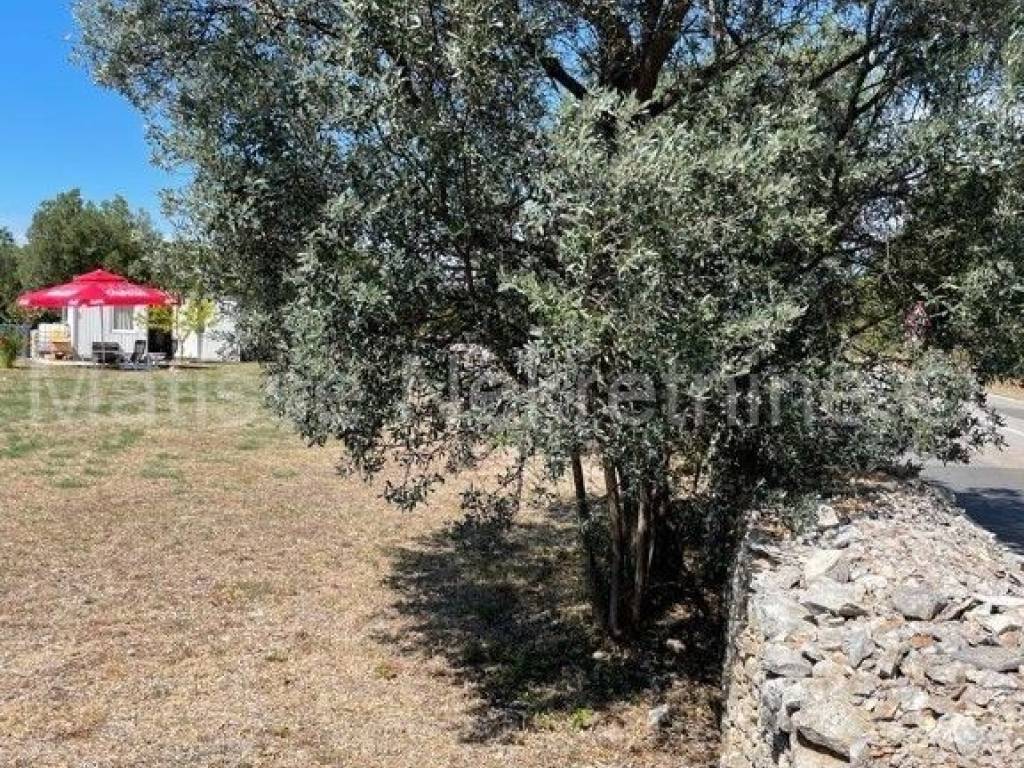 Zemljište - ostalo, Prodaja, Vodnjan, Vodnjan