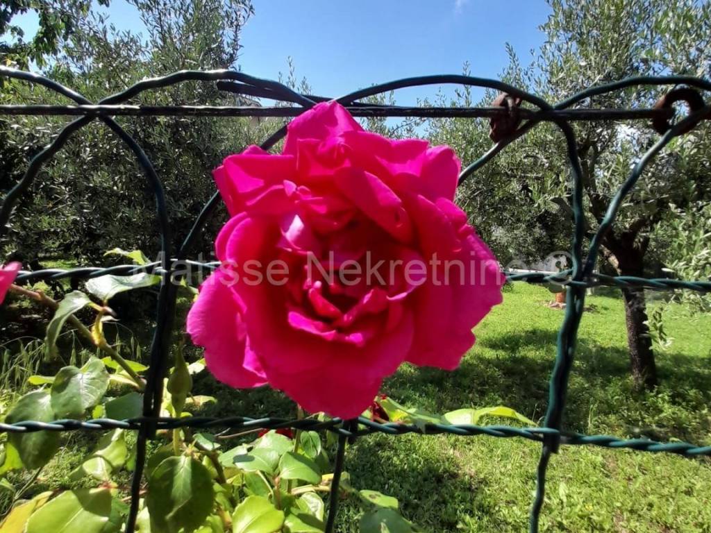 Obiteljska kuća, Prodaja, Pula, Pula