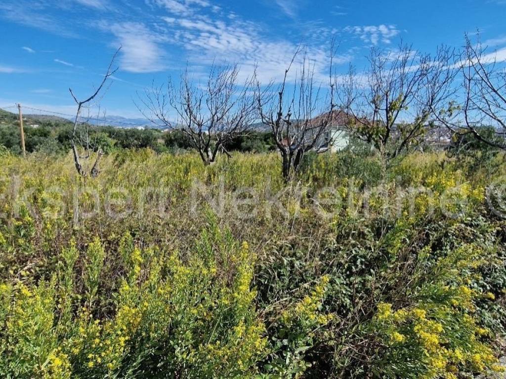 Građevinsko zemljište, Prodaja, Seget, Seget Donji