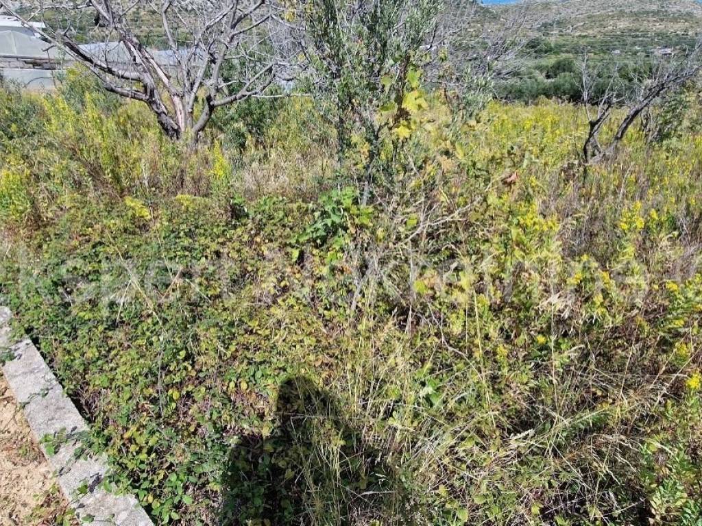 Građevinsko zemljište, Prodaja, Seget, Seget Donji