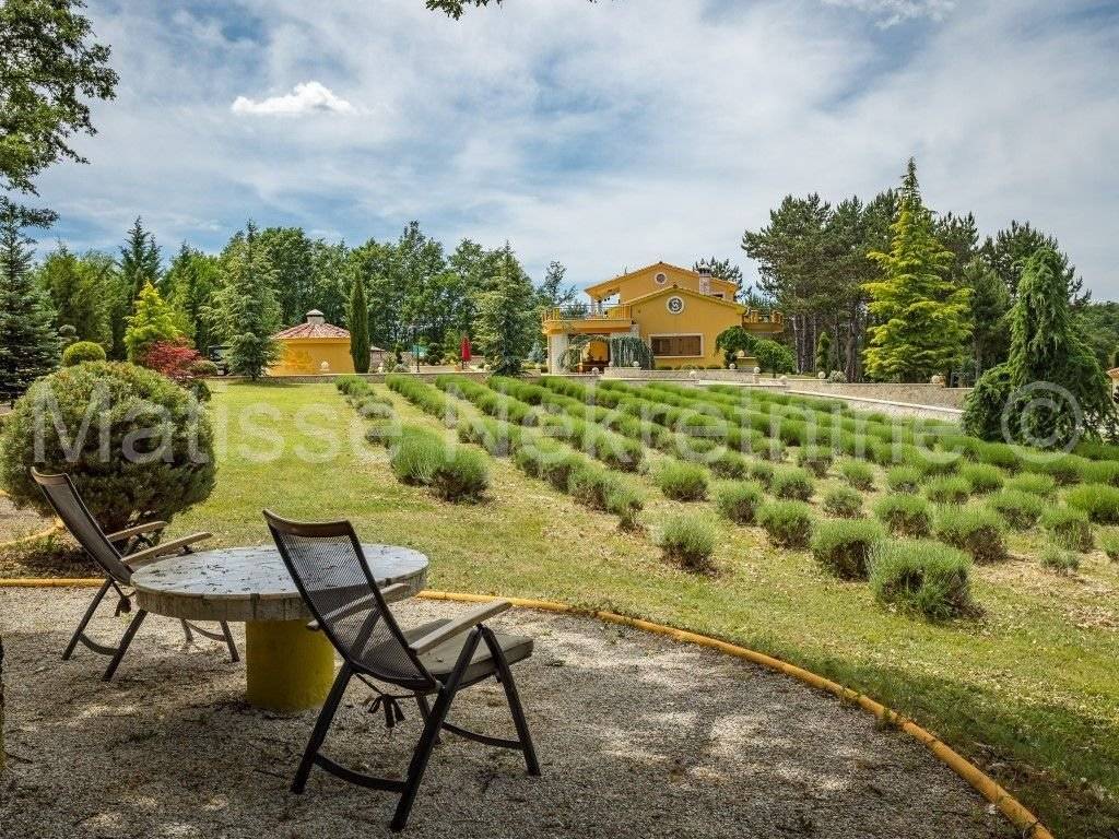 Luksuzna vila, Prodaja, Žminj, Žminj