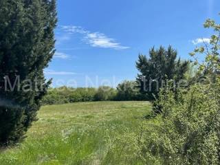 Poljoprivredno zemljište, Prodaja, Marčana, Marčana