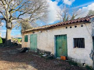 Vikend kuća, prodaja, Ližnjan,Ližnjan