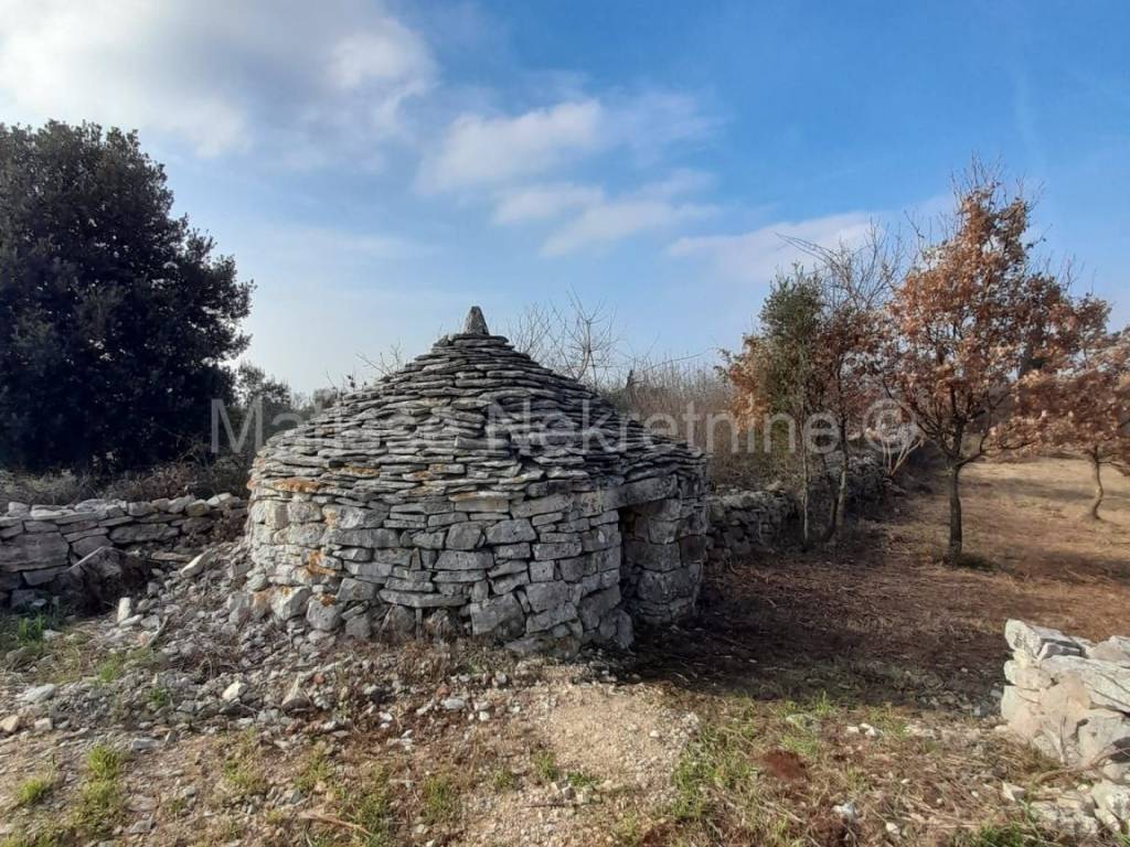 Poljoprivredno zemljište, Prodaja, Vodnjan, Vodnjan