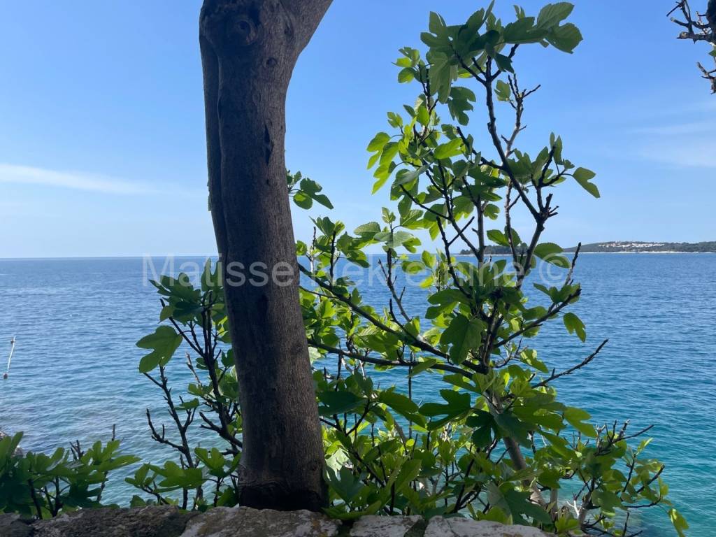 Stan u urbanoj vili, prodaja, Rovinj,Rovinj