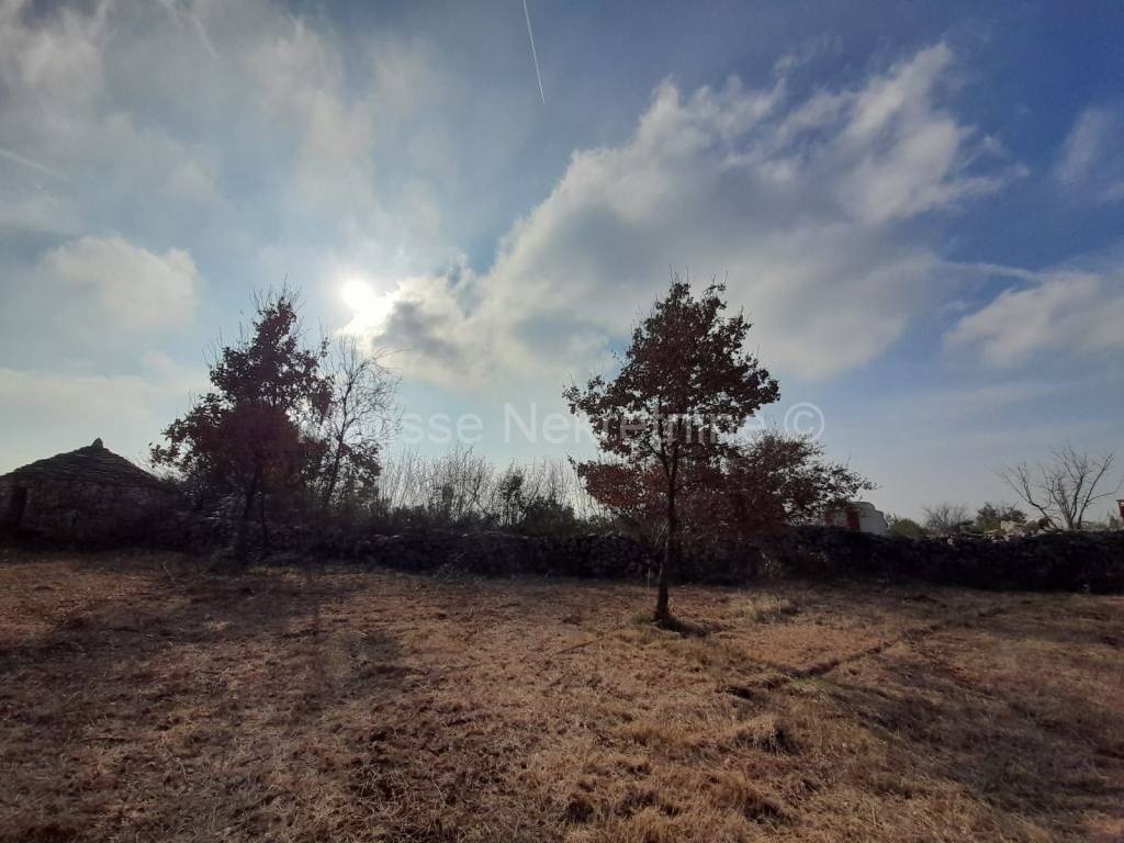 Poljoprivredno zemljište, Prodaja, Vodnjan, Vodnjan