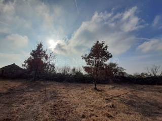 Poljoprivredno zemljište, Prodaja, Vodnjan, Vodnjan
