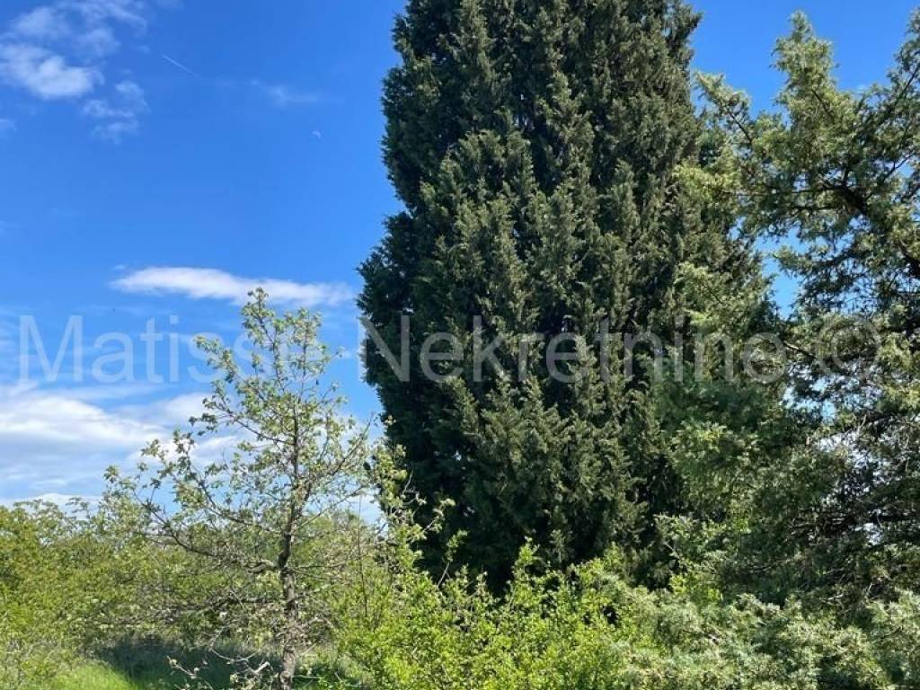 Poljoprivredno zemljište, Prodaja, Marčana, Marčana