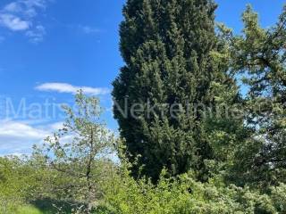 Poljoprivredno zemljište, Prodaja, Marčana, Marčana