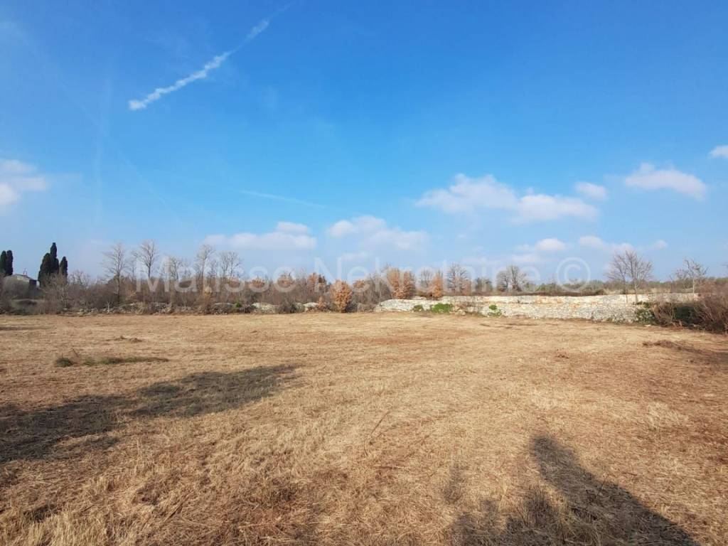 Poljoprivredno zemljište, Prodaja, Vodnjan, Vodnjan