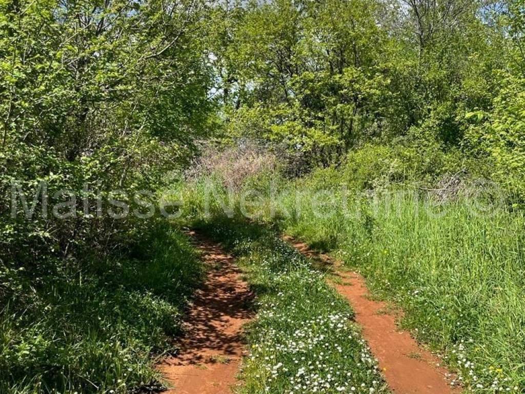Poljoprivredno zemljište, Prodaja, Marčana, Marčana