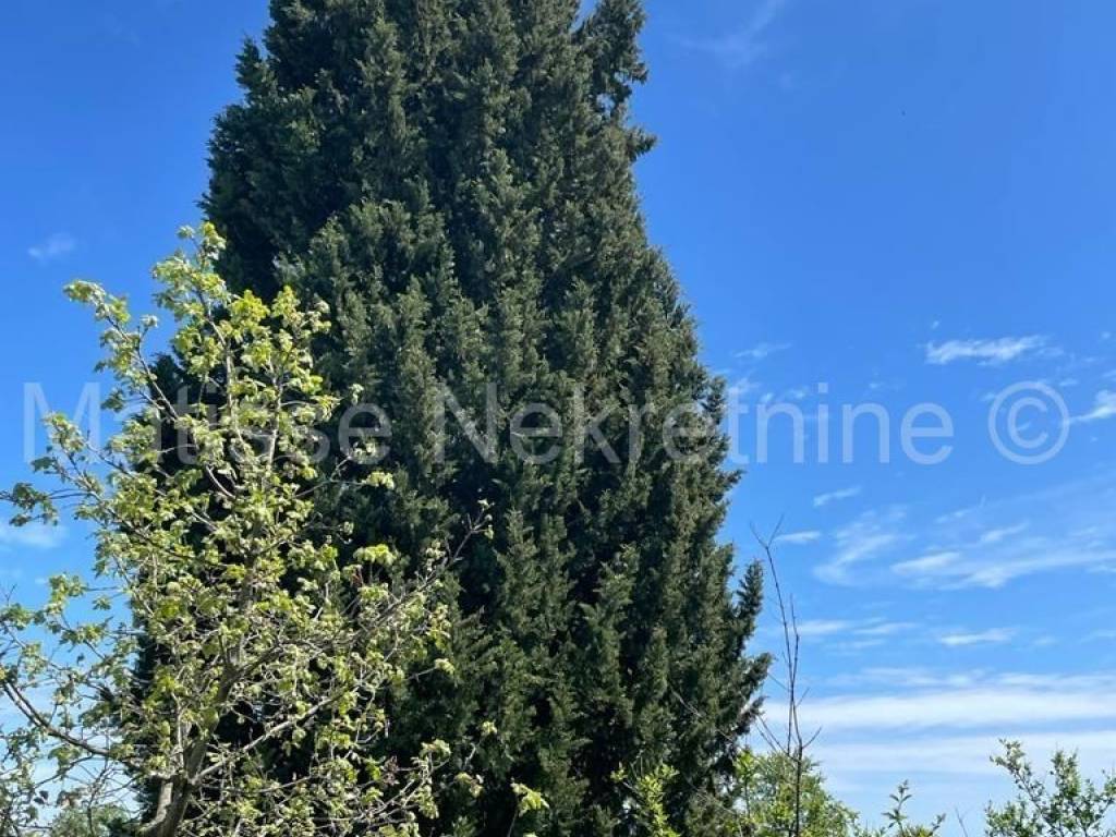 Poljoprivredno zemljište, Prodaja, Marčana, Marčana