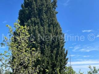 Poljoprivredno zemljište, Prodaja, Marčana, Marčana