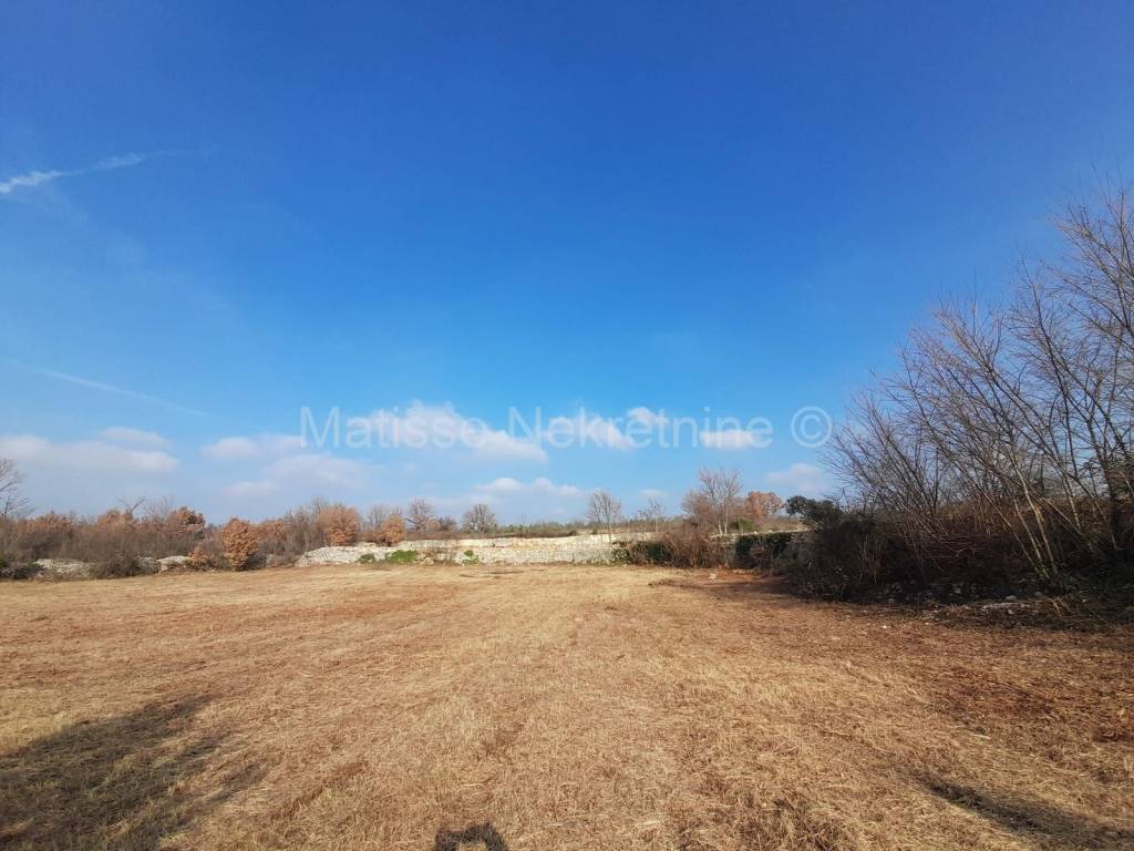 Poljoprivredno zemljište, Prodaja, Vodnjan, Vodnjan