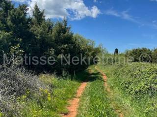 Poljoprivredno zemljište, Prodaja, Marčana, Marčana