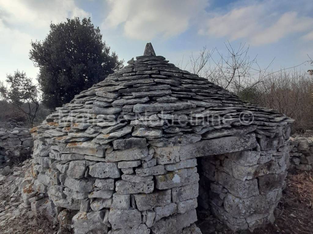 Poljoprivredno zemljište, Prodaja, Vodnjan, Vodnjan