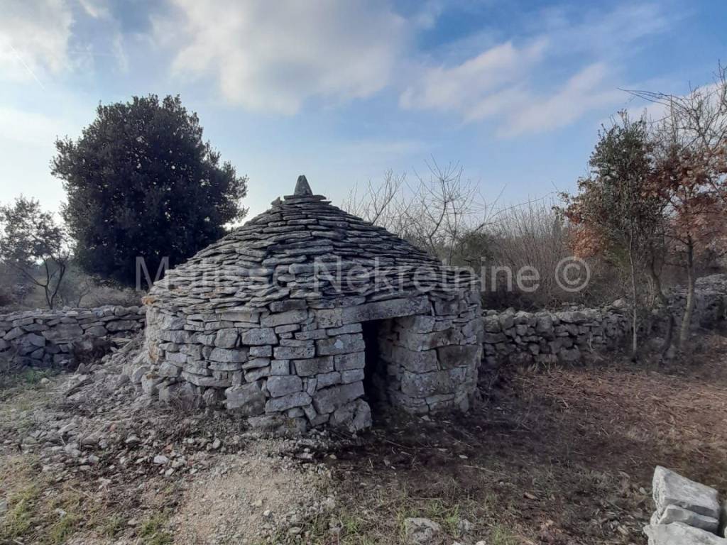 Poljoprivredno zemljište, Prodaja, Vodnjan, Vodnjan