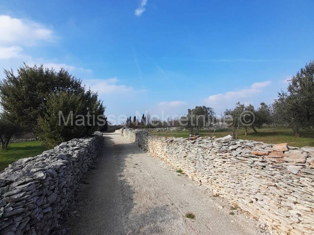 Poljoprivredno zemljište, Prodaja, Vodnjan, Vodnjan