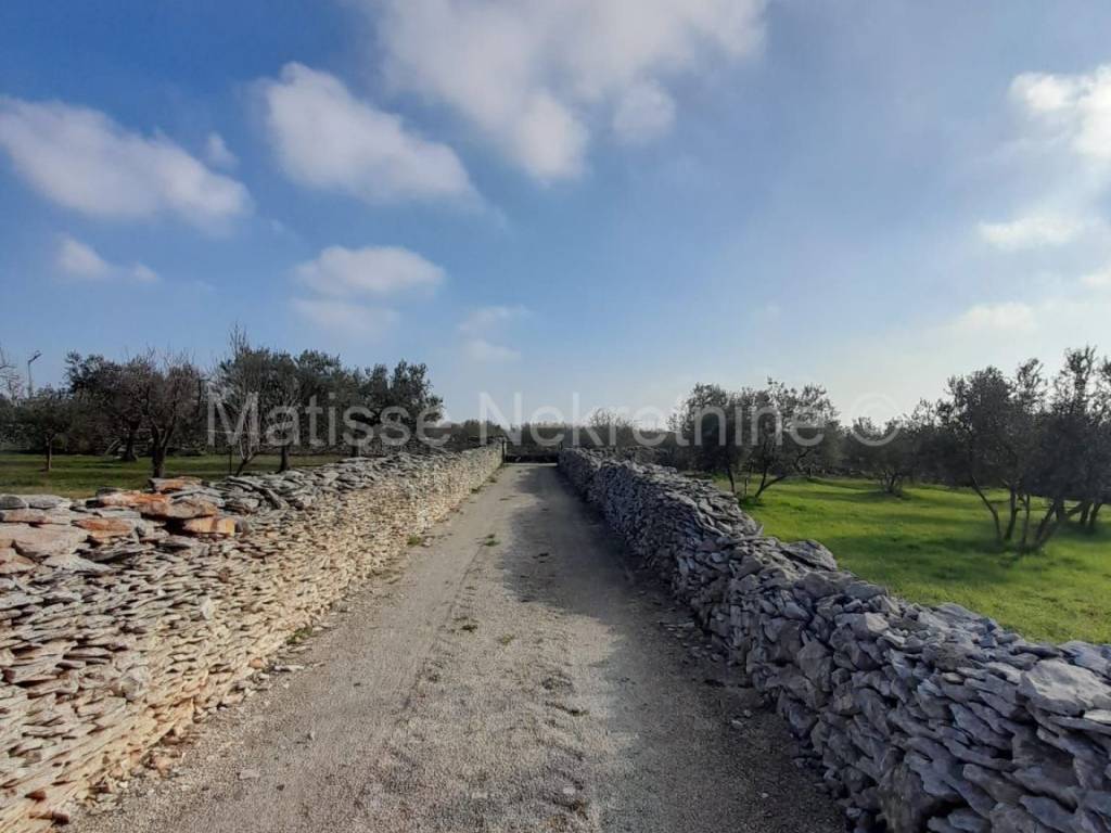 Poljoprivredno zemljište, Prodaja, Vodnjan, Vodnjan