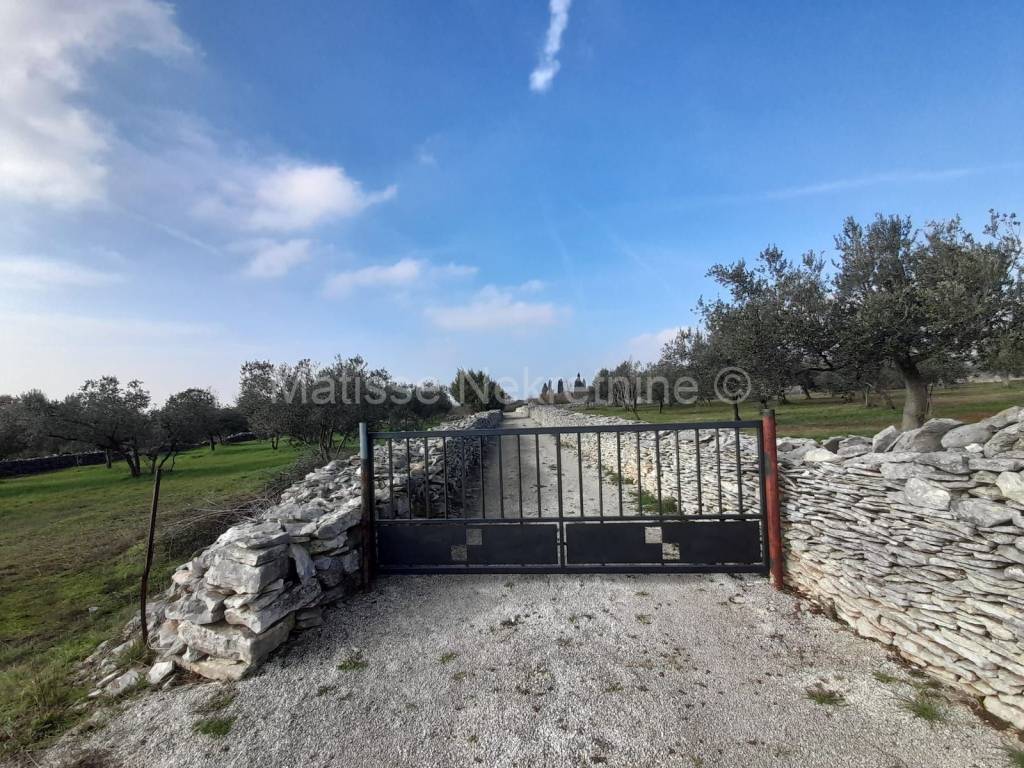 Poljoprivredno zemljište, Prodaja, Vodnjan, Vodnjan