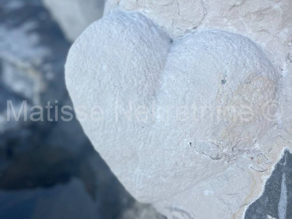 Poljoprivredno zemljište, prodaja, Marčana,Krnica