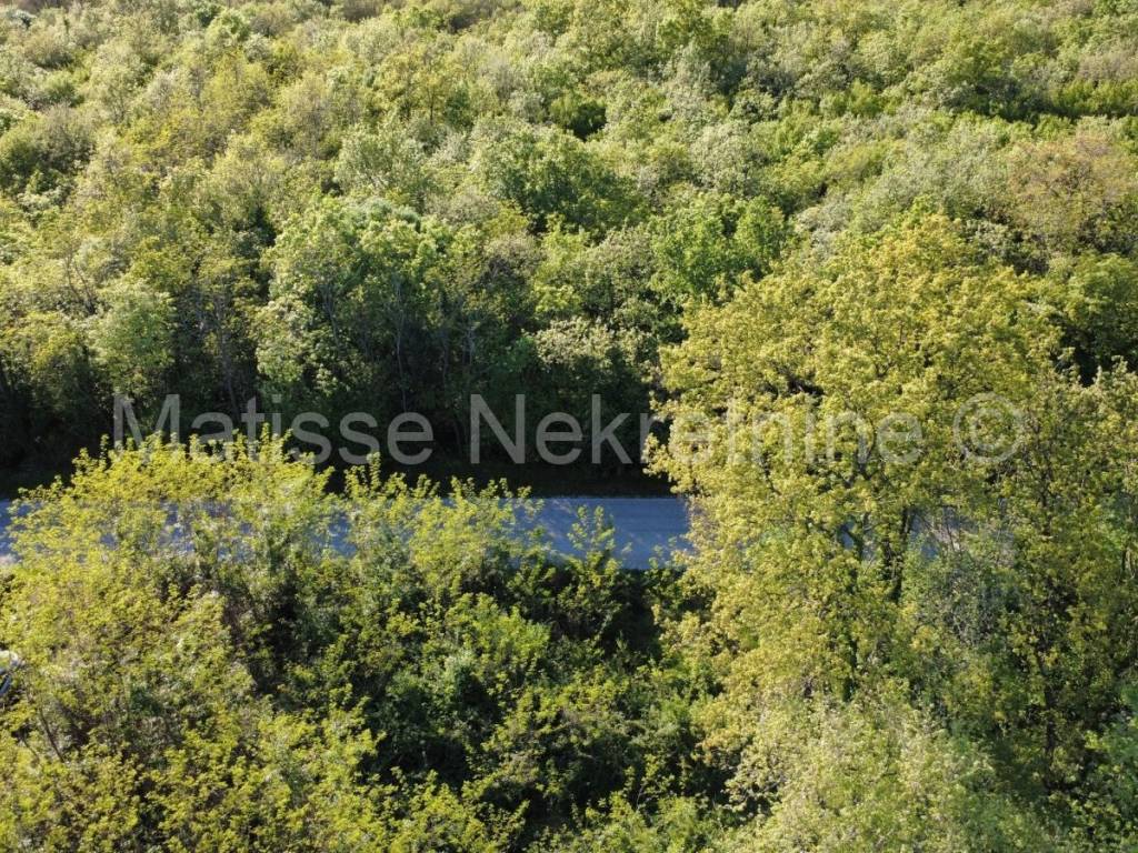 Poljoprivredno zemljište, prodaja, Marčana,Krnica