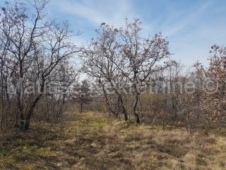 Građevinsko mješovito, Prodaja, Labin, Vinež