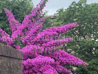 Stan u zgradi, Prodaja, Pula, Pula