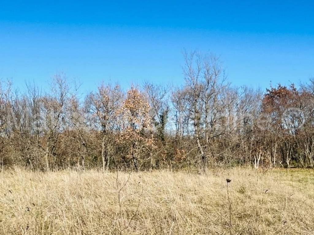 Građevinsko zemljište, prodaja, Marčana,Marčana