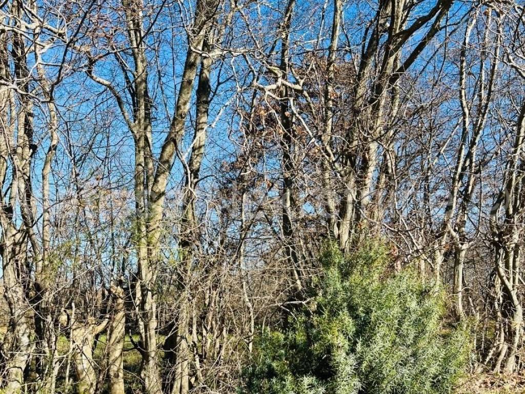 Građevinsko zemljište, prodaja, Marčana,Marčana