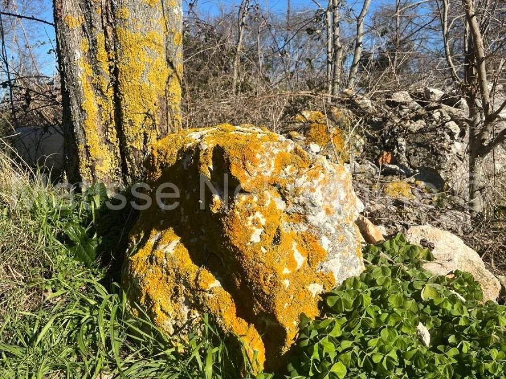 Građevinsko zemljište, prodaja, Marčana,Marčana