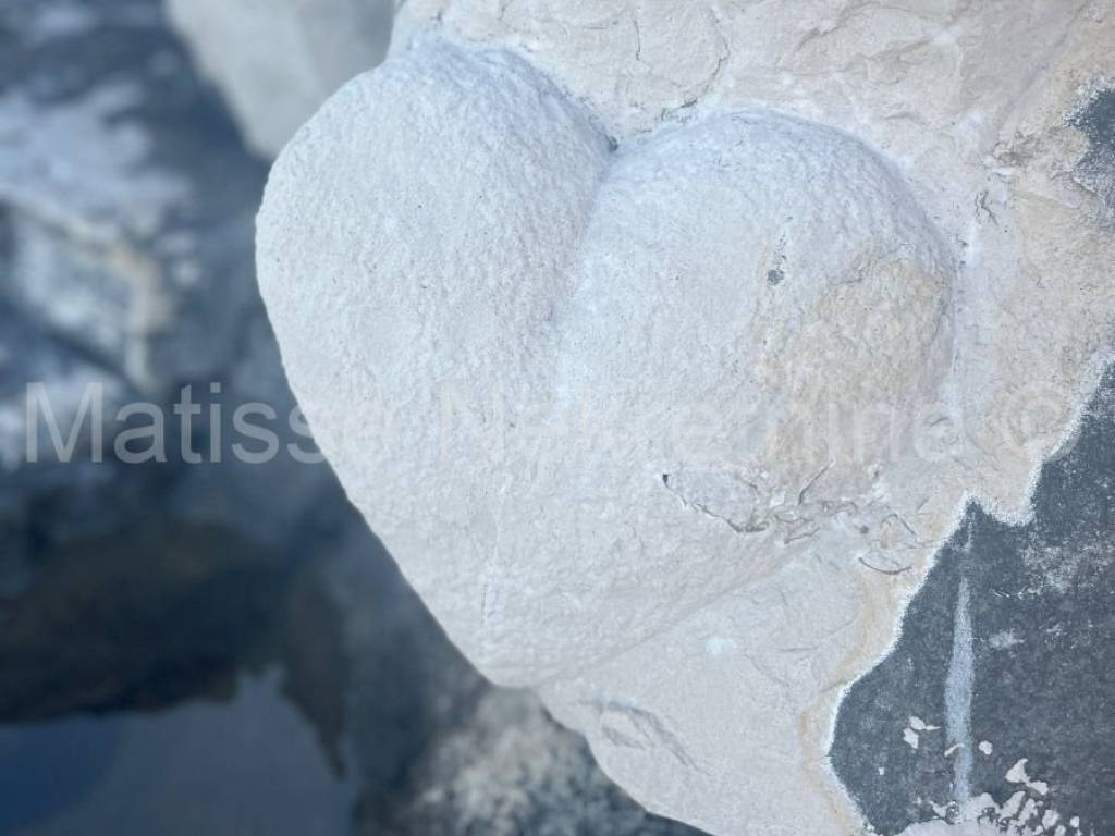 Građevinsko zemljište, prodaja, Marčana,Marčana