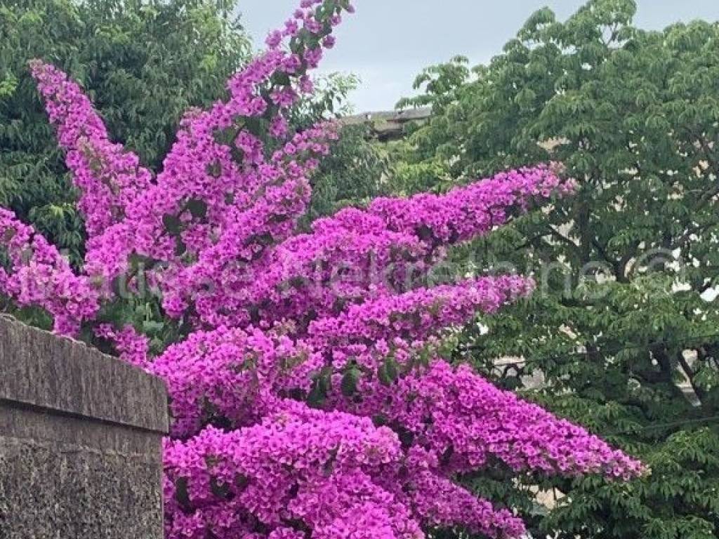Stambeno poslovni objekt, Prodaja, Pula, Pula
