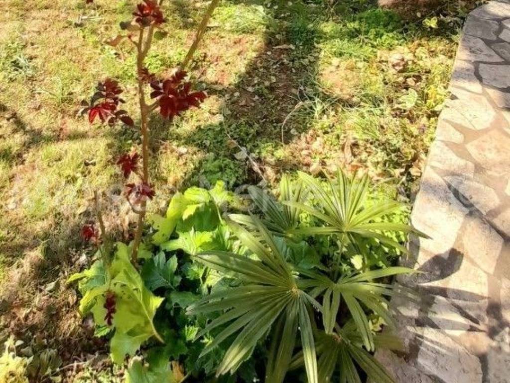 Obiteljska kuća, Prodaja, Medulin, Medulin