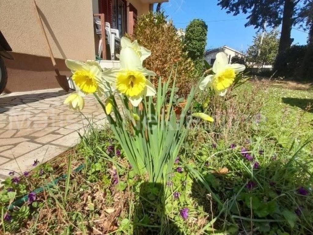 Obiteljska kuća, Prodaja, Medulin, Medulin